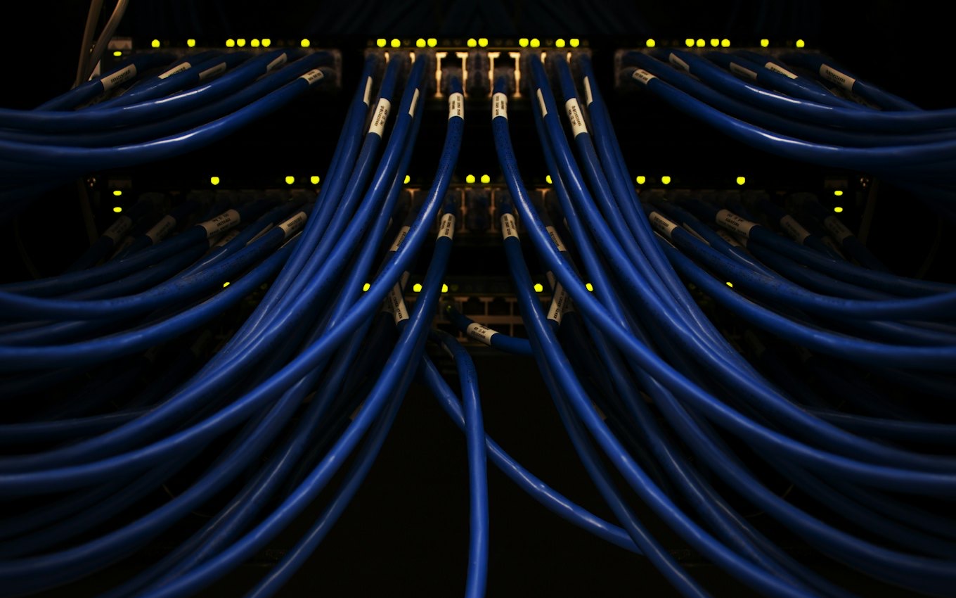 Bundles of blue network cables connected to a switch